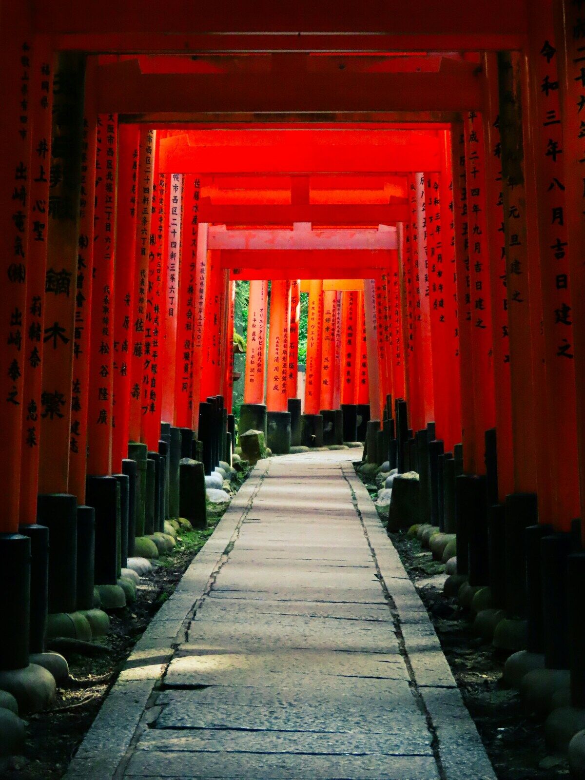 Nippon Daily Experience — 日本の日常風景